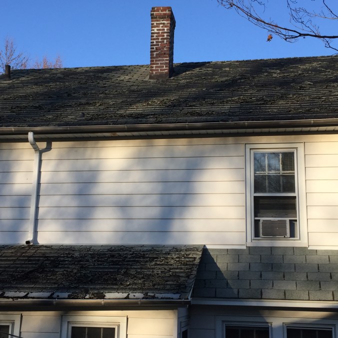 The roof of our 1931 Colonial, awaiting sparkly new shingles, chimney repair and bright shiny gutters.
