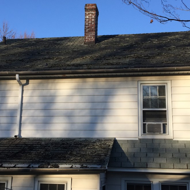 The roof of our 1931 Colonial, awaiting sparkly new shingles, chimney repair and bright shiny gutters.